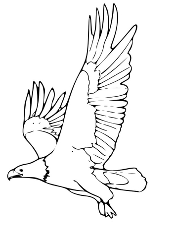 Dibujo para colorear Águila