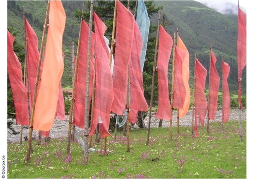 Foto Banderas de oración