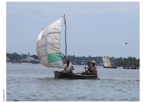 Barco velero