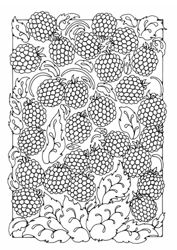 Dibujo para colorear bayas