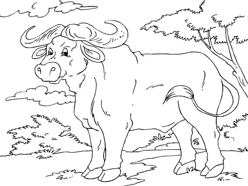 Dibujo para colorear búfalo