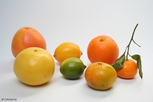 Cítricos