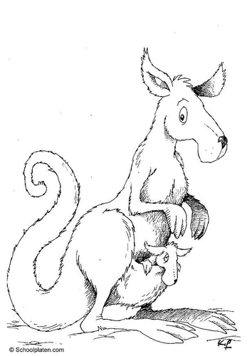 Dibujo para colorear Canguro