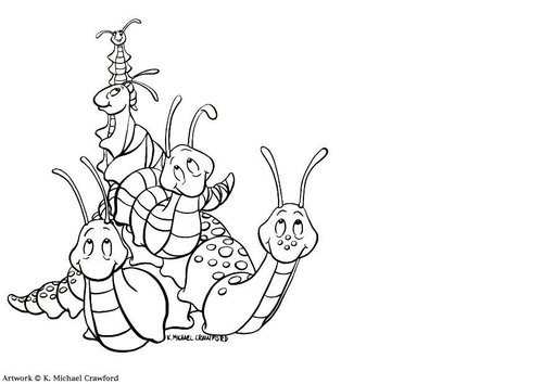 Caracoles