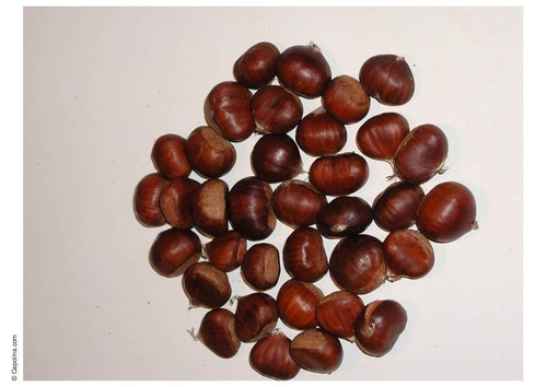 Castañas