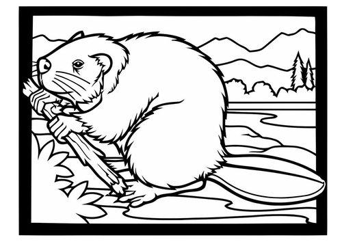 Dibujo para colorear castor con rama