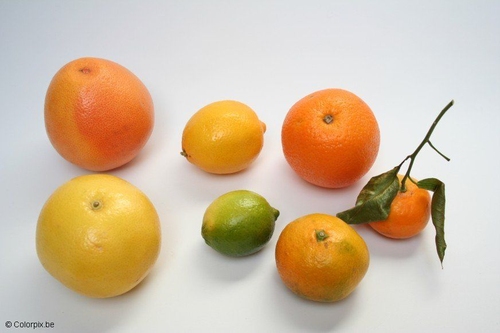 Cítricos