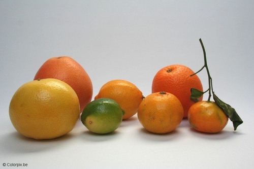 Cítricos
