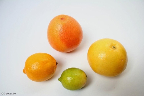 Cítricos