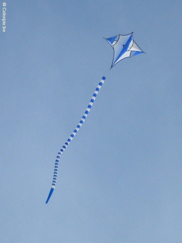 Foto Cometa