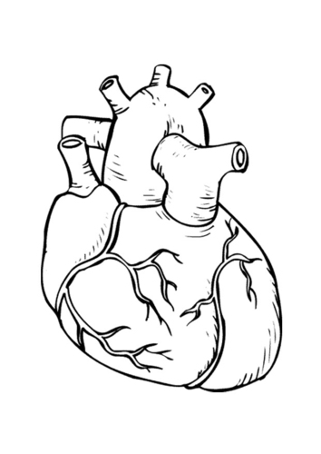 Corazón