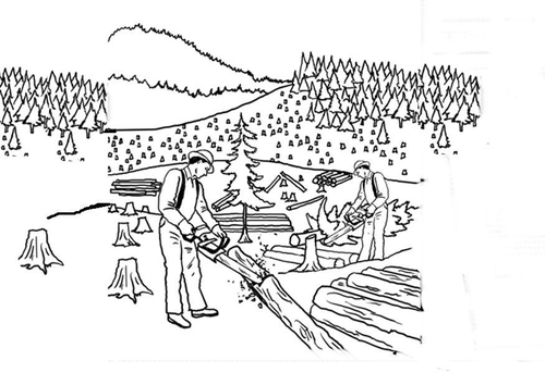 Deforestación
