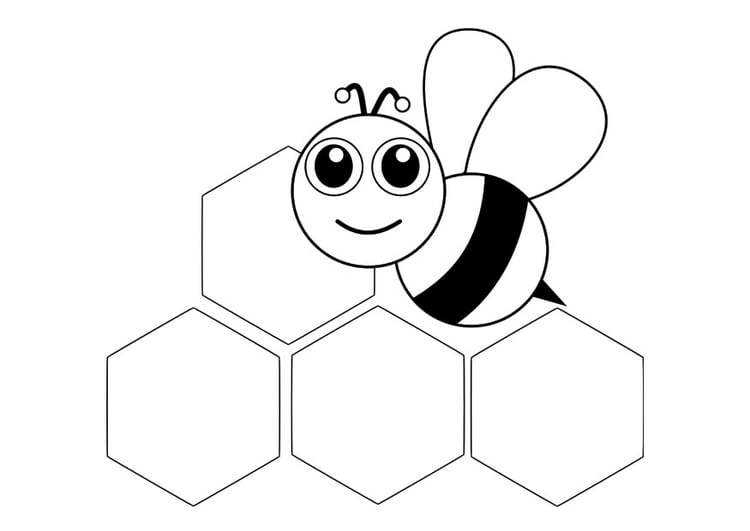 Dibujo para colorear abeja - parte delantera