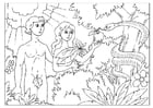 Dibujos para colorear Adán y Eva