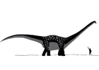 Dibujos para colorear Antarctosaurus