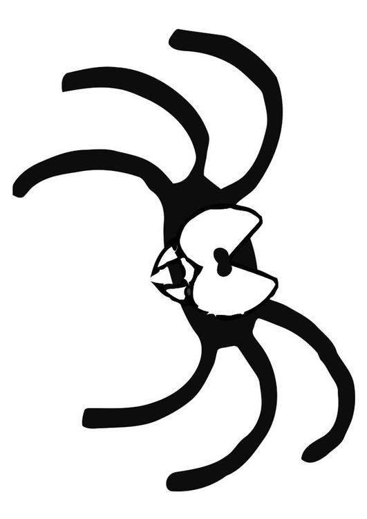 araña