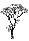 Dibujos para colorear árbol pelado