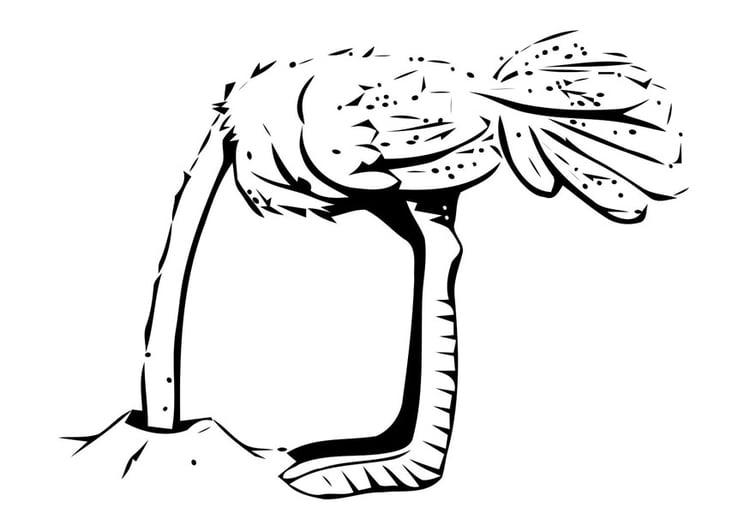 Dibujo para colorear avestruz con la cabeza en la arena