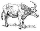 Dibujos para colorear Búfalo