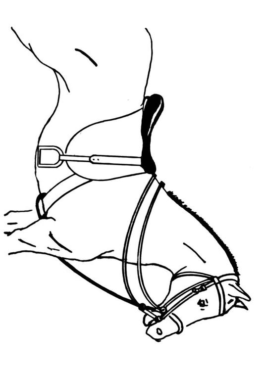 caballo ensillado