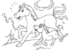 Dibujos para colorear caballo y potro