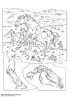 Dibujos para colorear Caballos salvajes