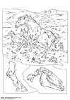 Caballos salvajes