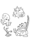 Dibujos para colorear calamares y peces globo nadan alrededor