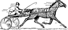 Carrera de caballos
