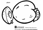 Dibujos para colorear Ciruela