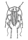Dibujos para colorear cucaracha