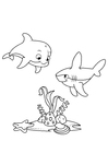 Dibujos para colorear delfines y tiburones