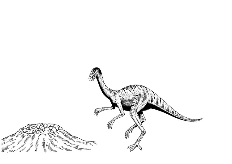 Dibujo para colorear Dinosaurio en nido