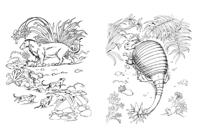 Dibujo para colorear Dinosaurio y depredador