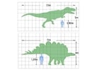 Dibujos para colorear Esquema de dinosaurio
