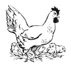 Dibujos para colorear Gallina con pollos