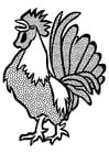 Dibujos para colorear gallo