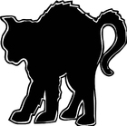 Gato negro