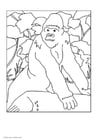 Dibujos para colorear Gorila