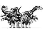 Dibujos para colorear Grupo de esqueletos de dinosaurios