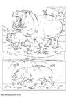 Dibujos para colorear Hipopótamo