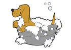 Dibujos para colorear lavado de perro