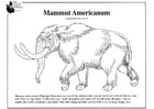 Dibujos para colorear Mamut americano