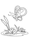 Dibujos para colorear mariposa sobre lirios de agua