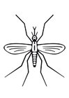 Dibujos para colorear mosquito