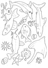 Dibujos para colorear muchos peces en el mar