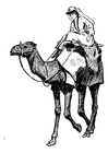 Dibujos para colorear mujer sobre camello