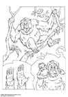 Dibujos para colorear Orangután