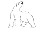 Dibujos para colorear oso polar