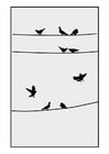 Dibujos para colorear palomas